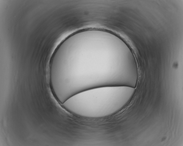 X0000097461295200802220758