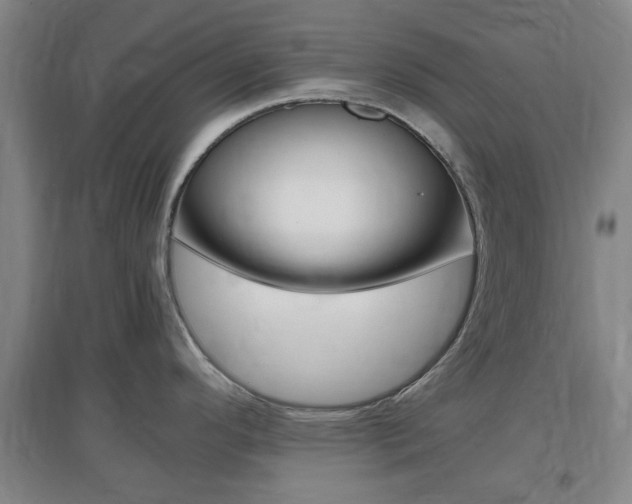 X0000097461296200802220758
