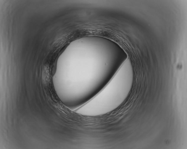 X0000097461298200802220757