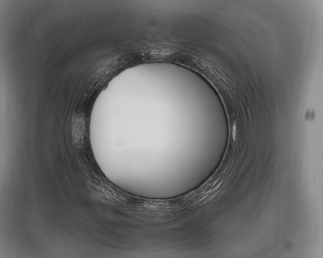 X0000097461299200802220757