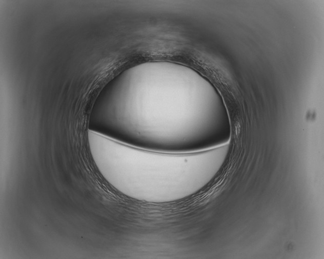 X0000097461300200802220757