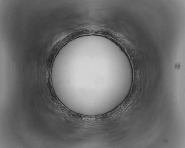 X0000097461302200802220757