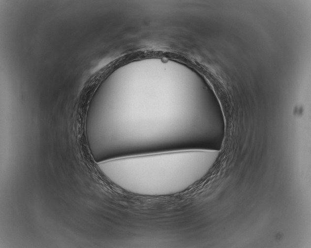 X0000097461303200802220757