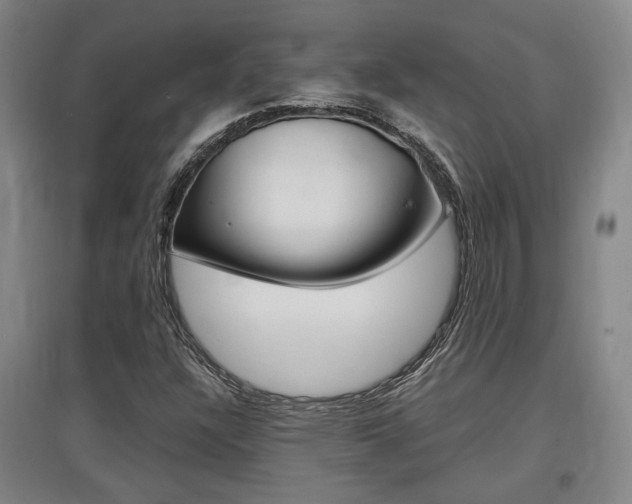 X0000097461304200802220757