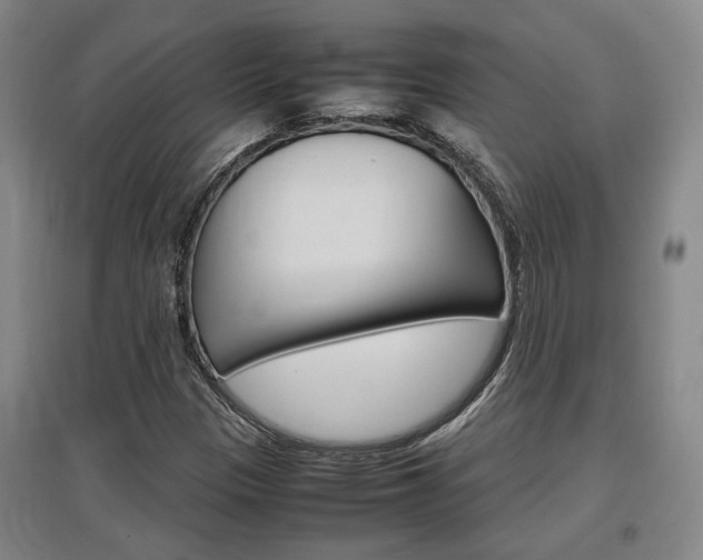 X0000097461305200802220757