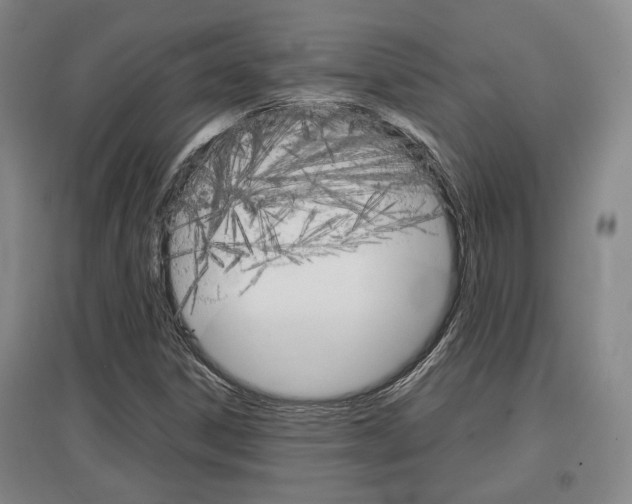 X0000097461306200802220757