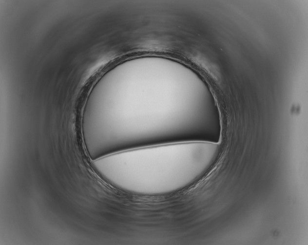 X0000097461307200802220757