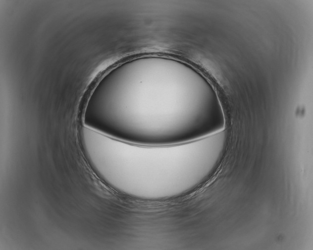 X0000097461308200802220757