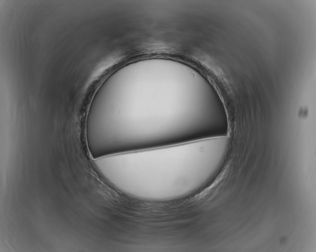 X0000097461309200802220757