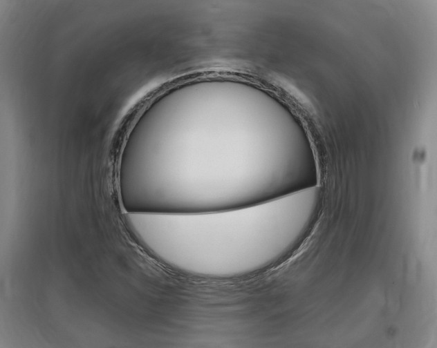 X0000097461310200802220757