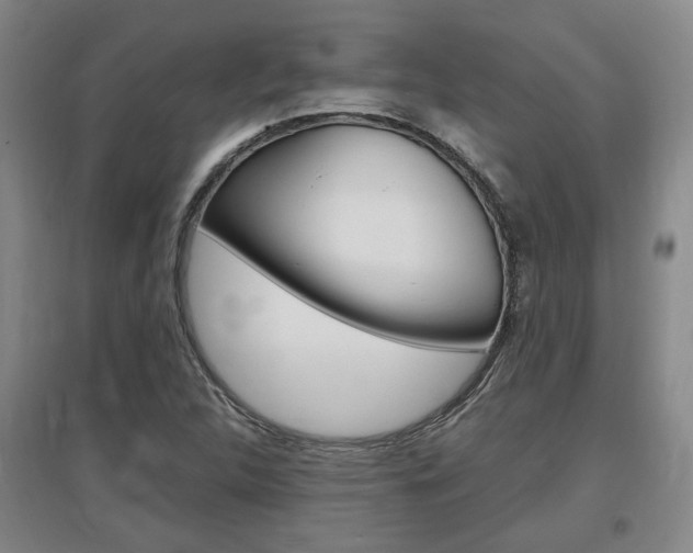 X0000097461312200802220757