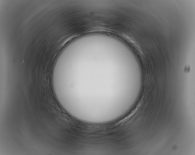 X0000097461313200802220757