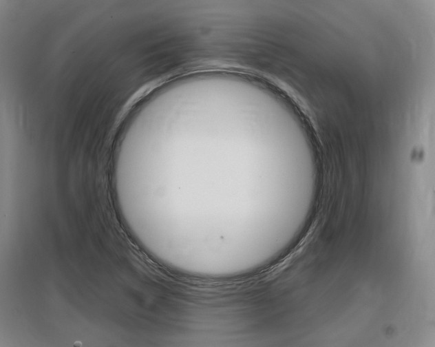 X0000097461314200802220757