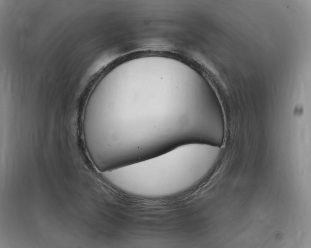 X0000097461315200802220757