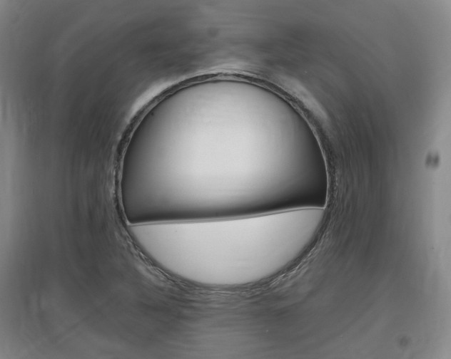X0000097461316200802220757