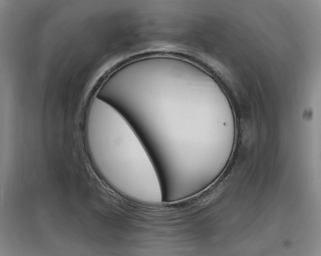 X0000097461318200802220758
