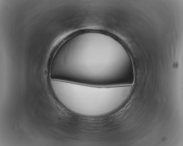 X0000097461319200802220758