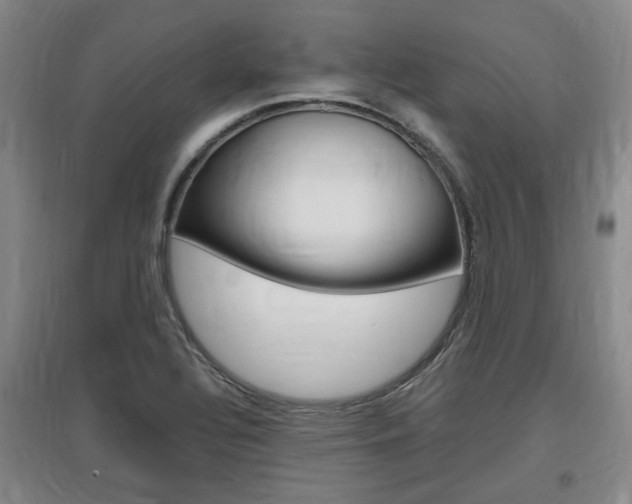 X0000097461320200802220758