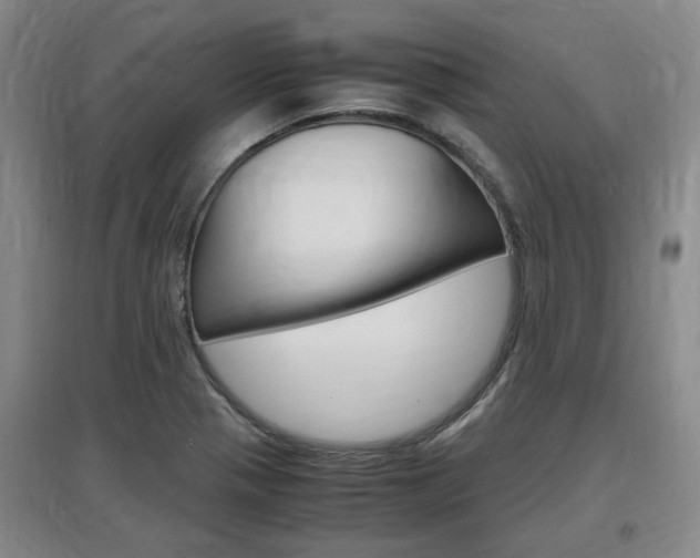 X0000097461321200802220758