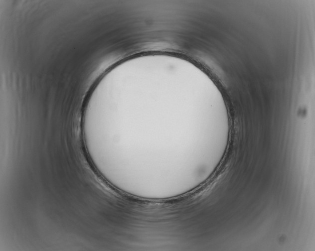 X0000097461322200802220758