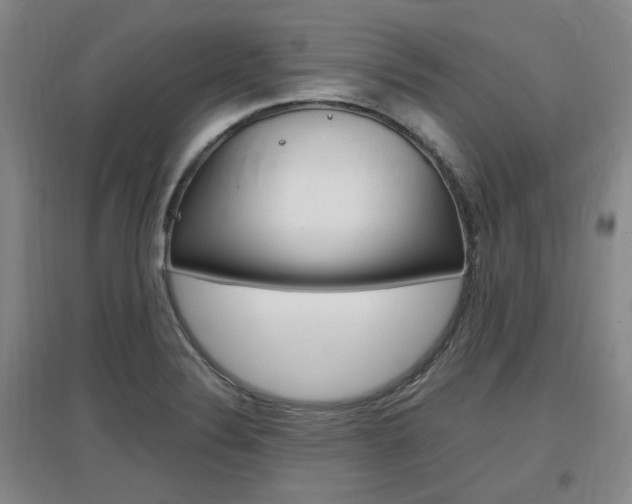X0000097461324200802220758