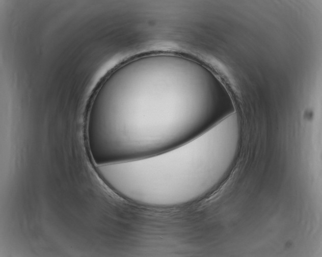 X0000097461326200802220758