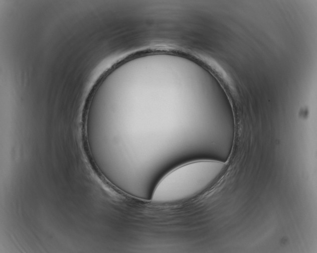 X0000097461327200802220758