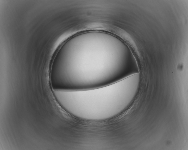 X0000097461328200802220758