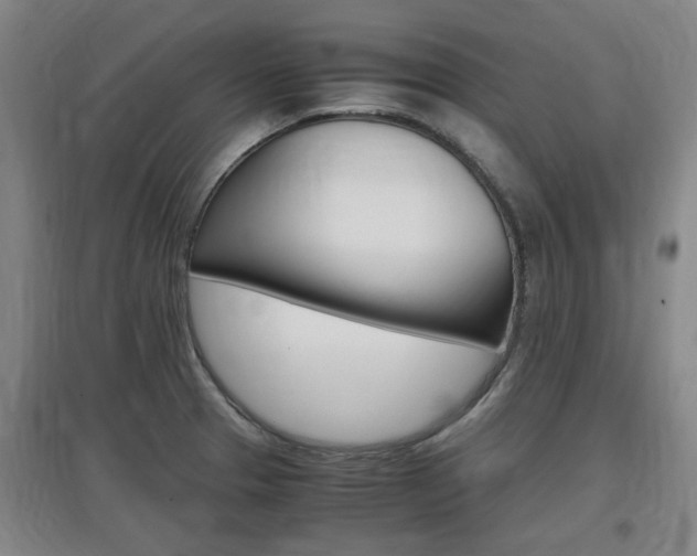 X0000097461329200802220758