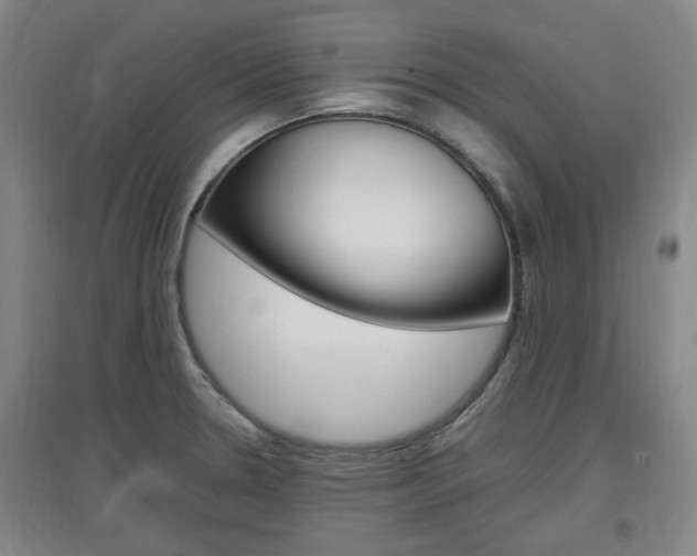 X0000097461330200802220758