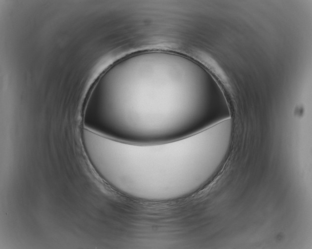 X0000097461332200802220758