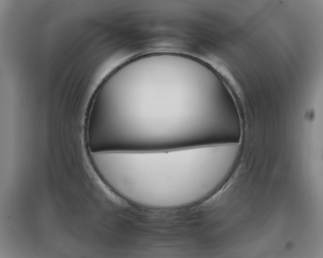 X0000097461333200802220758