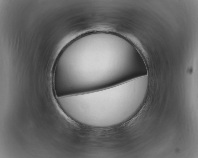 X0000097461335200802220758