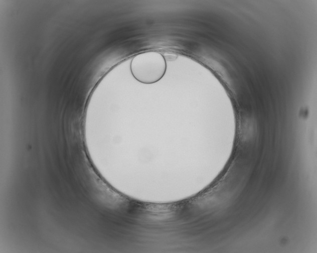 X0000097461338200802220758