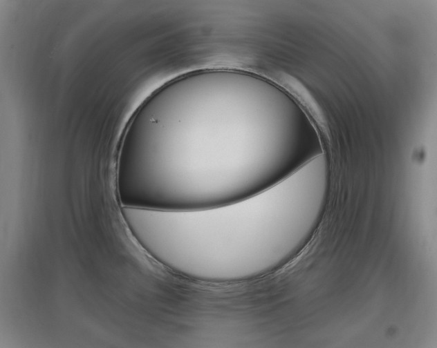 X0000097461340200802220758