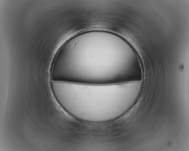 X0000097461341200802220758