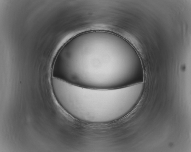 X0000097461342200802220758