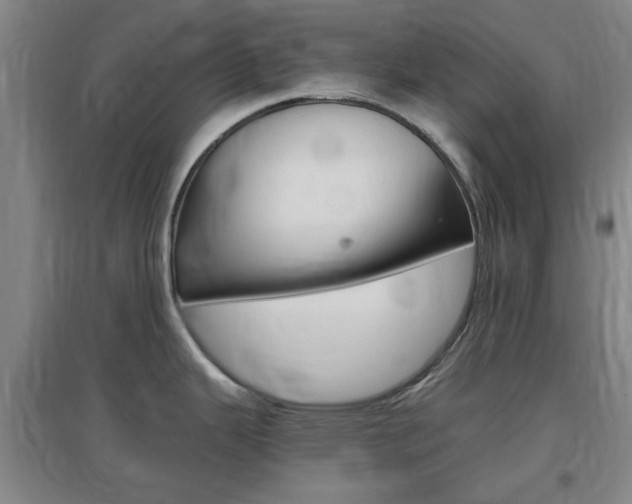 X0000097461343200802220758