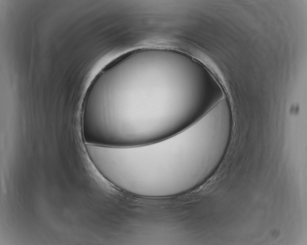 X0000097461344200802220758