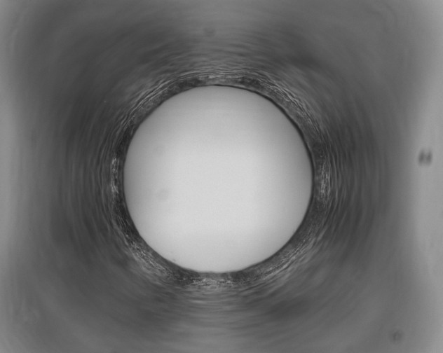 X0000097461346200802220757