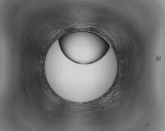 X0000097461348200802220757