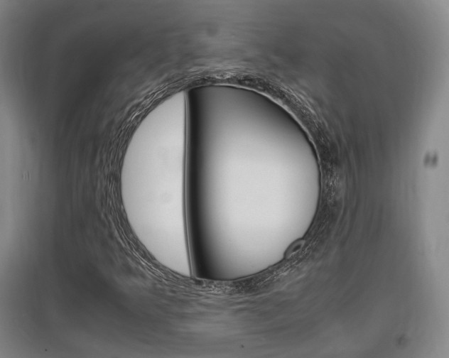 X0000097461349200802220757