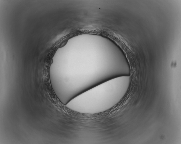 X0000097461350200802220757