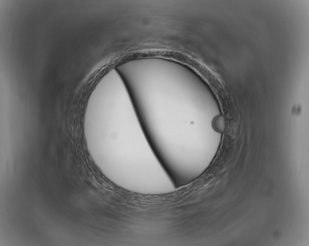 X0000097461351200802220757