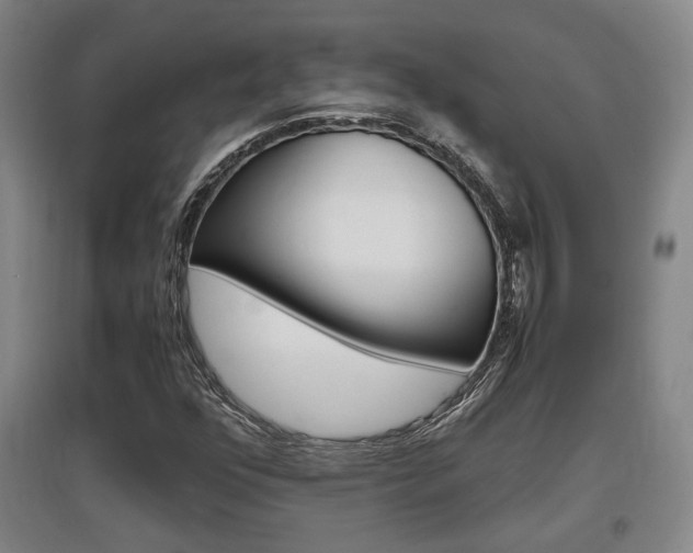 X0000097461352200802220757
