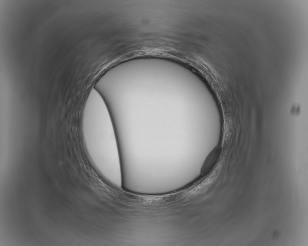 X0000097461353200802220757