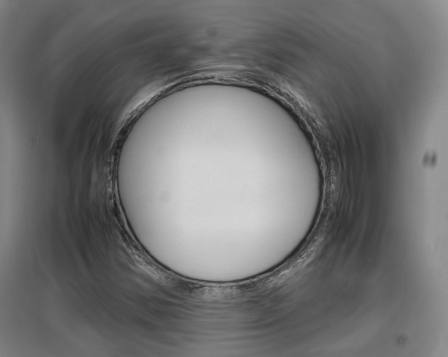 X0000097461354200802220757