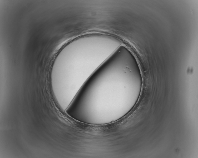 X0000097461355200802220757