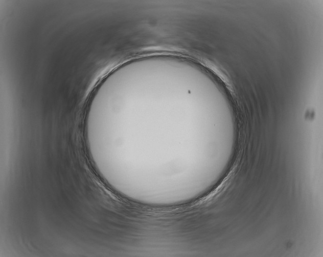 X0000097461357200802220757