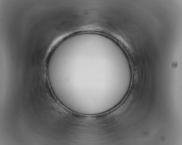 X0000097461358200802220757
